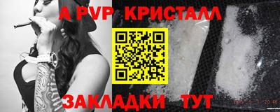 трава Пугачёв