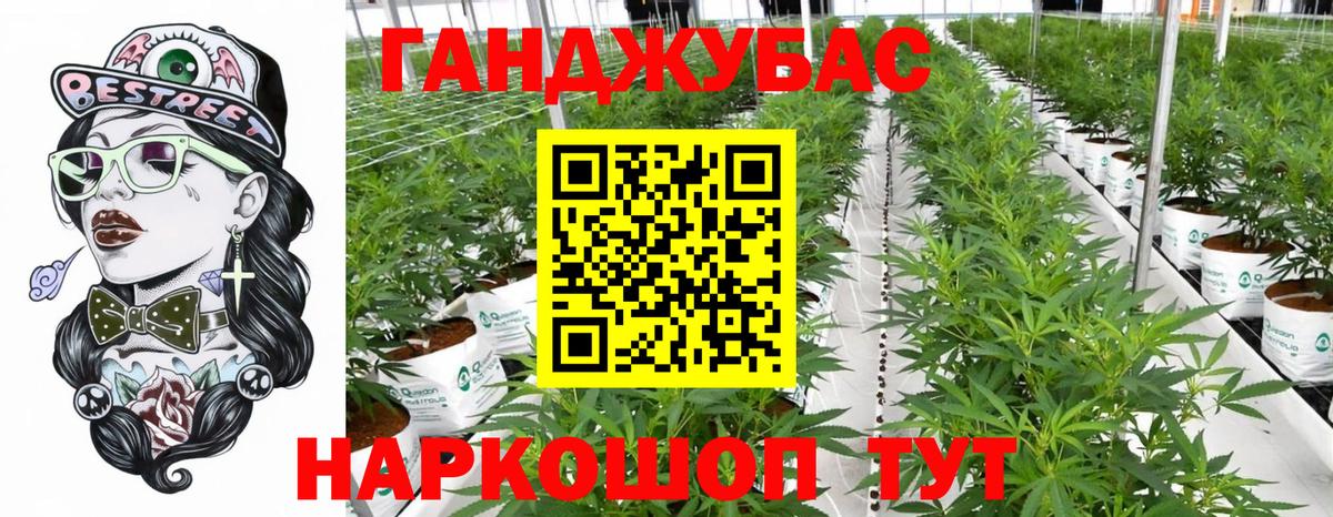 Шишки марихуана Amnesia  Вход с VPN  Конопля гибрид  Бошки Шишки индика  Бошки Шишки тримм  Рассказово 
